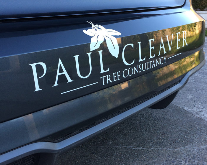 Paul Cleaver Car Graphics